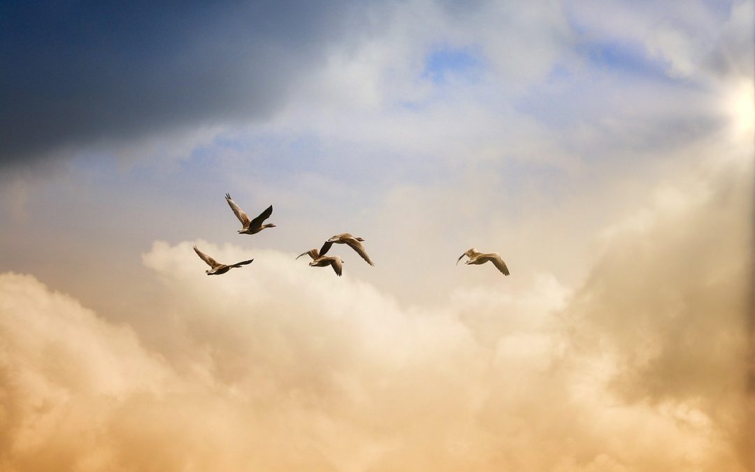 Dokumen yang Diperlukan untuk Visa Kunjungan ke Lampung Tengah